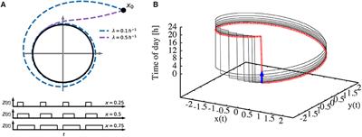 Conceptual Models of Entrainment, Jet Lag, and Seasonality